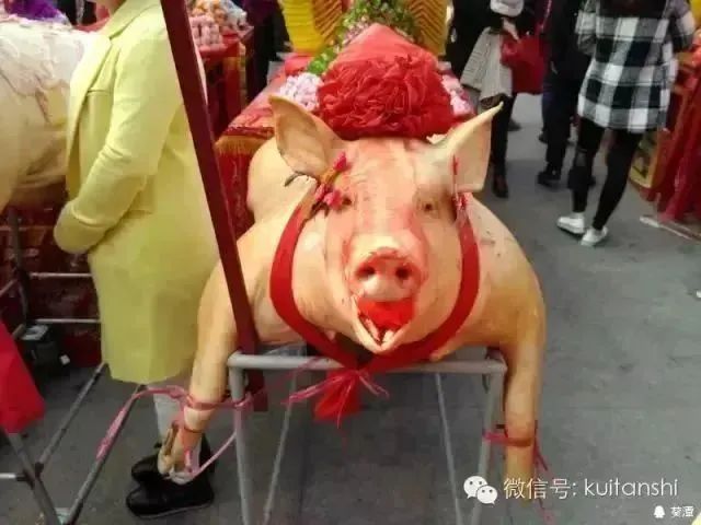 图片[27]-昨天，举办葵潭赛灯庙会第三次筹备工作会议！-民俗风情汇